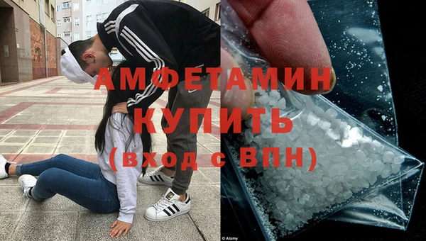 прущие грибы Новодвинск